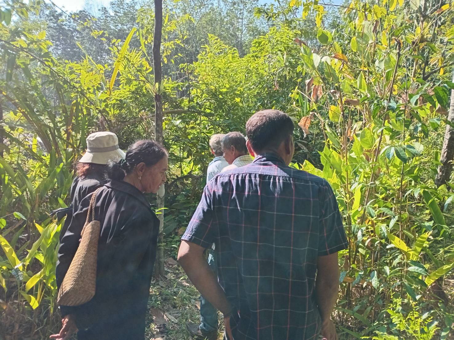 title - ส.ป.ก.ตรัง ดำเนินการจัดอบรม/ศึกษาดูงาน หลักสูตร ระบบการผลิตเกษตรกรรมยั่งยืน  ภายใต้โครงการพัฒนาเกษตรกรรมยั่งยืน กิจกรรมพัฒนาเกษตรกรรมยั่งยืนในเขตปฏิรูปที่ดินจังหวัดตรัง ปีงบประมาณ พ.ศ. ๒๕๖๙